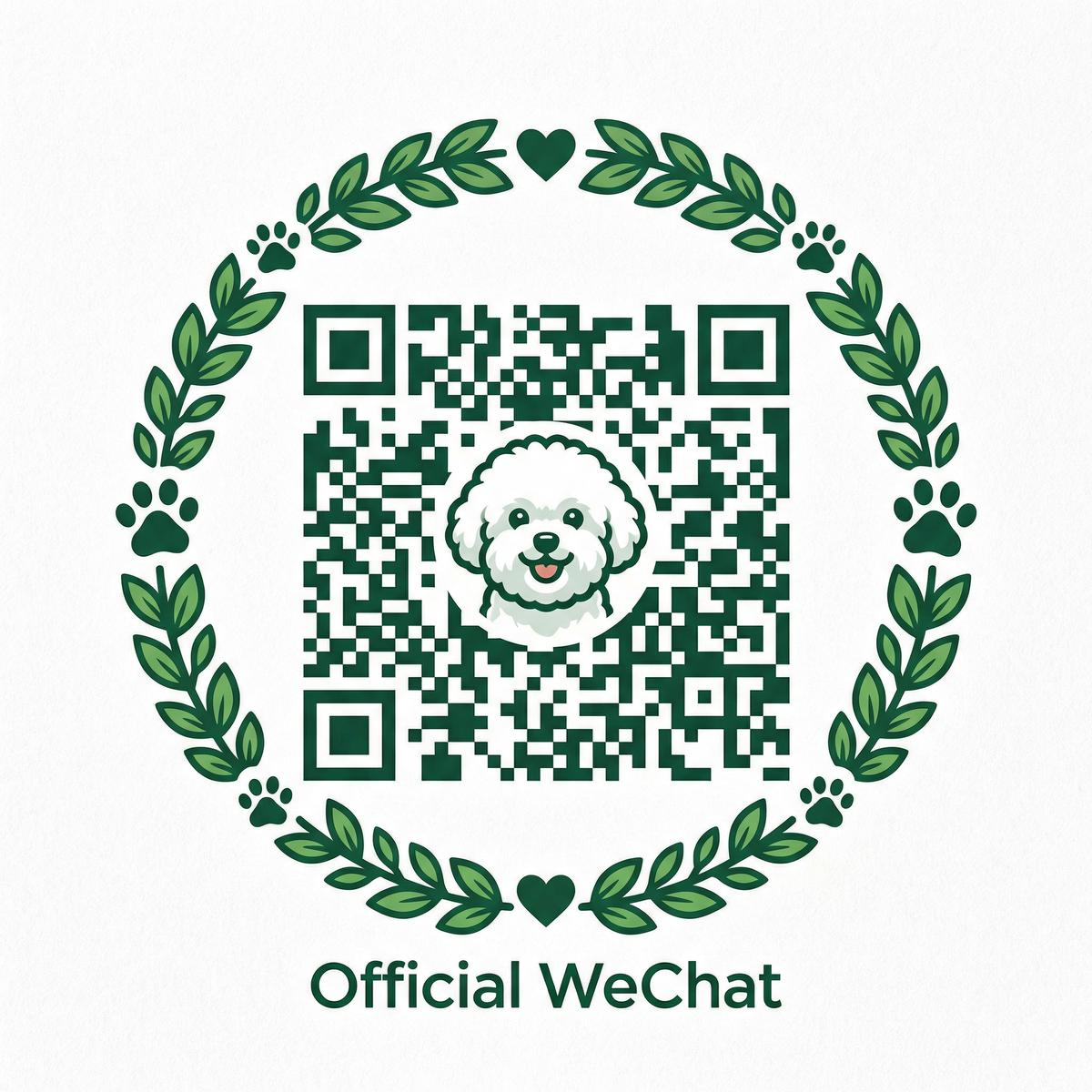 男同视频公众号二维码